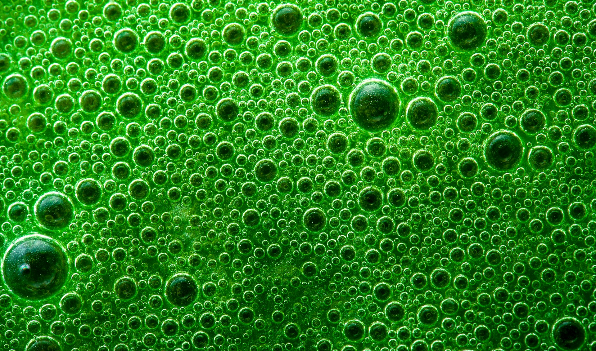 green water formations