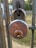 A rusty silver padlock is attached to a metal gate in an outdoor setting. The padlock has visible text engraved on it, indicating the brand name. The background includes a grassy area, blurred trees, and a building structure.
