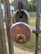A rusty silver padlock is attached to a metal gate in an outdoor setting. The padlock has visible text engraved on it, indicating the brand name. The background includes a grassy area, blurred trees, and a building structure.