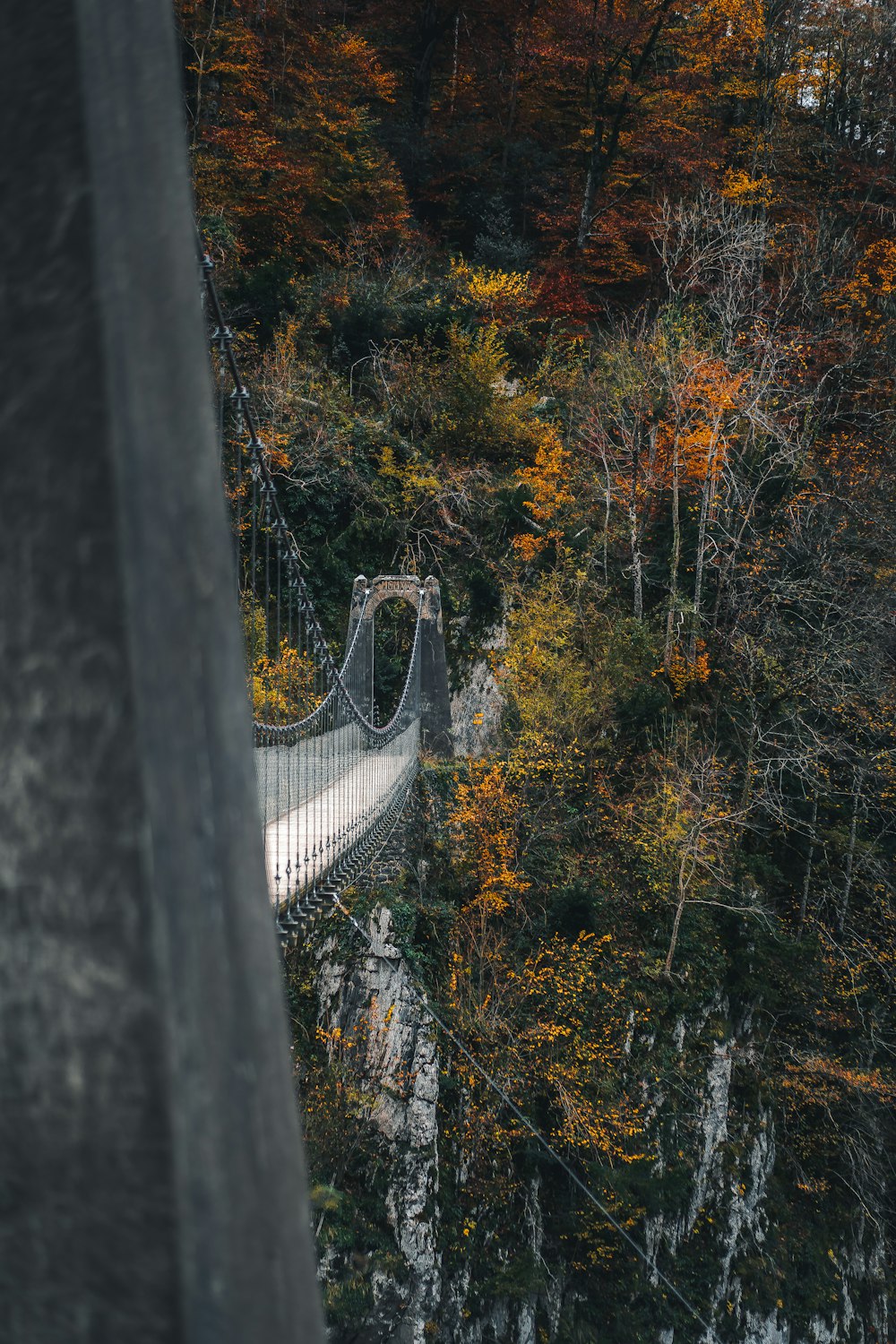 bridge near trees during daytime