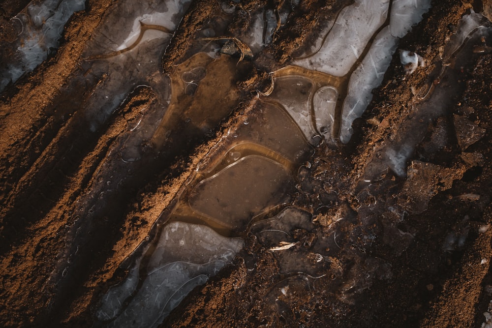 a patch of dirt with ice on top of it