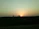 A vibrant photo of Rajasthan's desert landscape during sunset with camels walking.