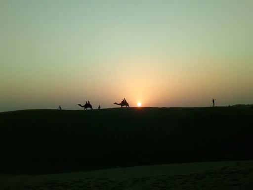 A warm desert sunset behind a camel caravan near Merzouga, Morocco.