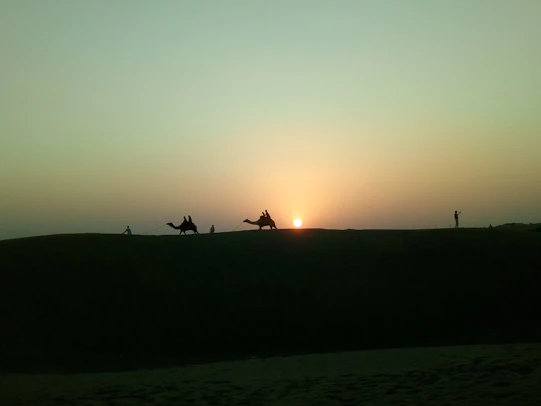 A warm sunset over the Sahara desert with camel silhouettes crossing the dunes.