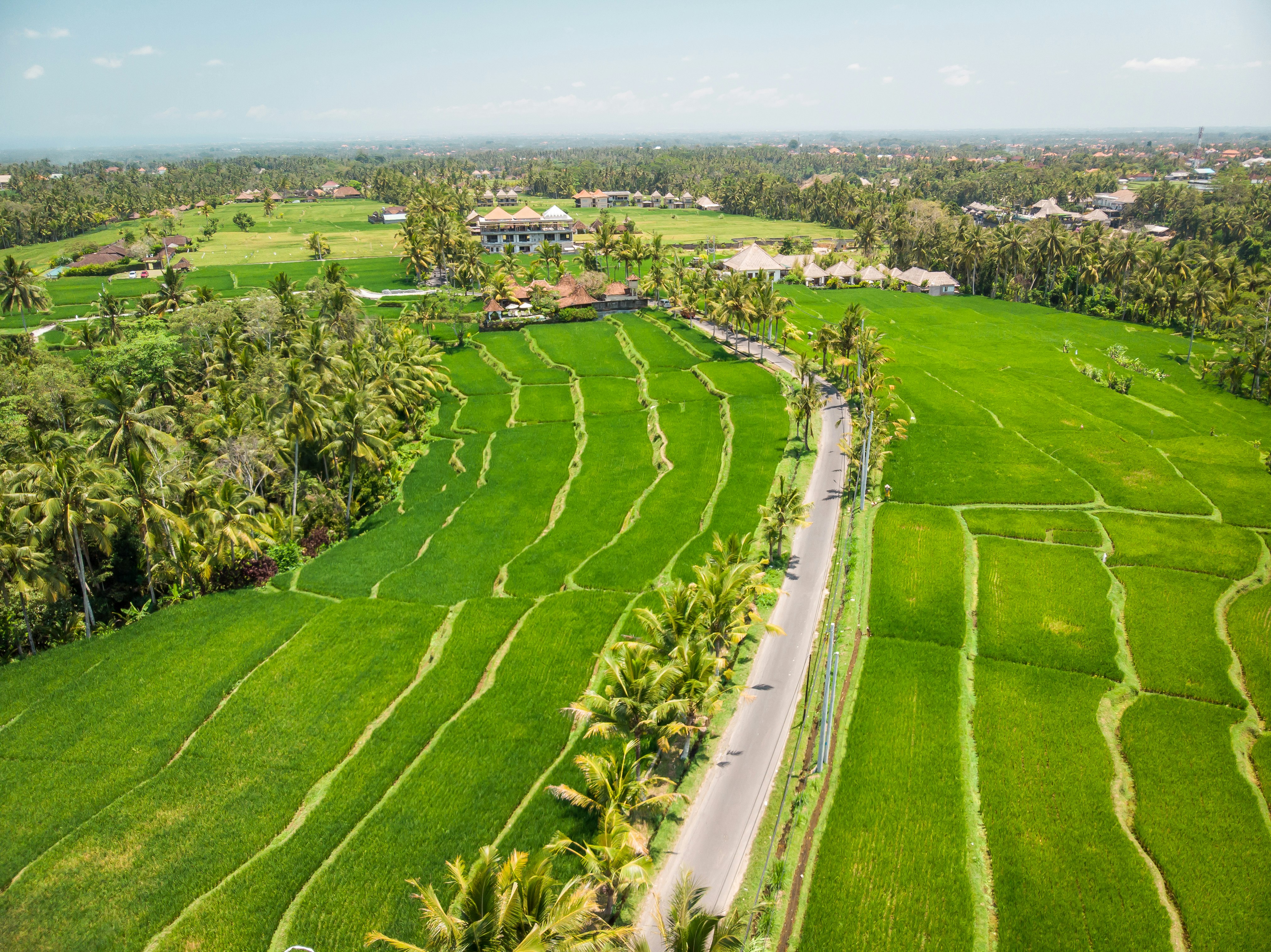 aerial photography of green grass field