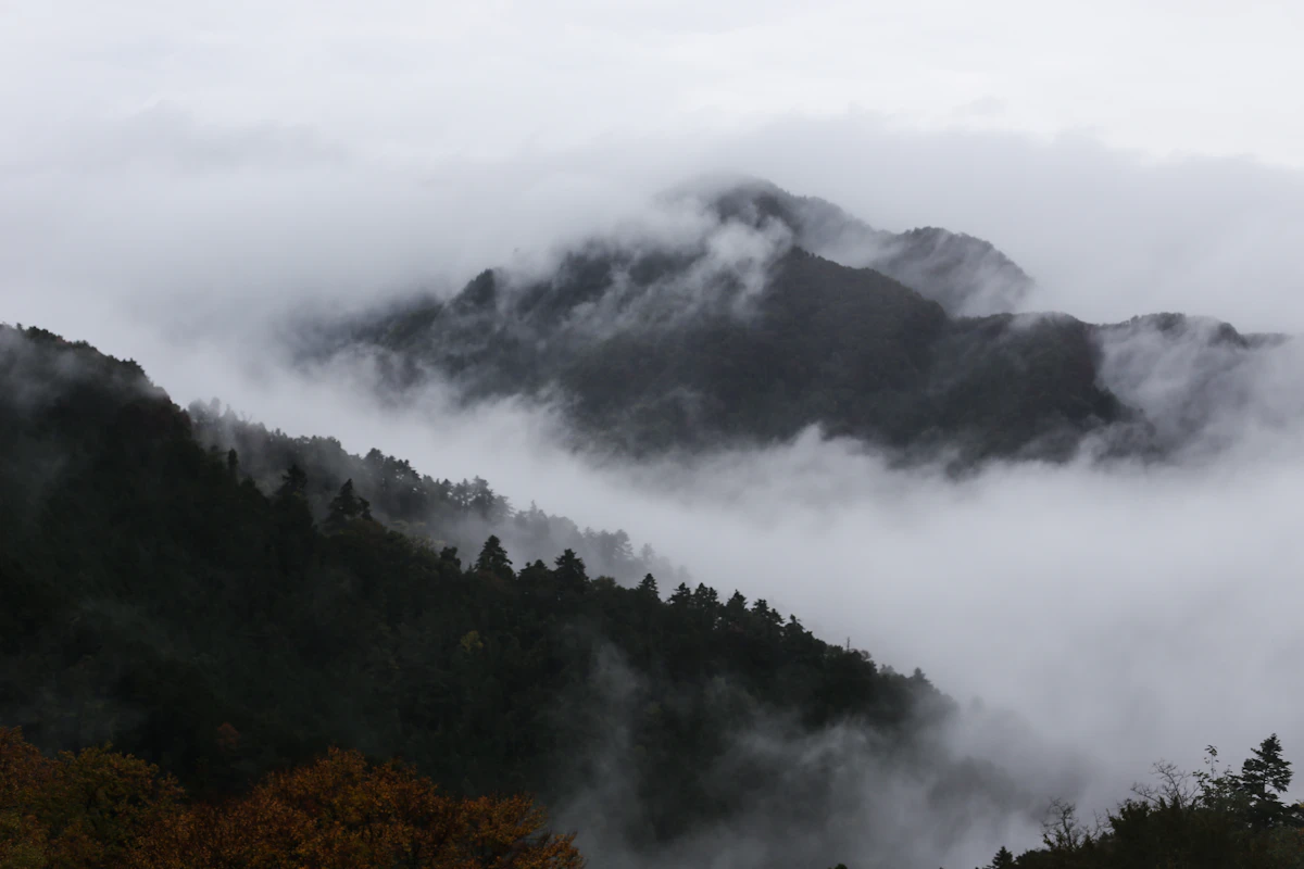 Mount Takao in mist