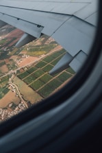 person showing plane wing