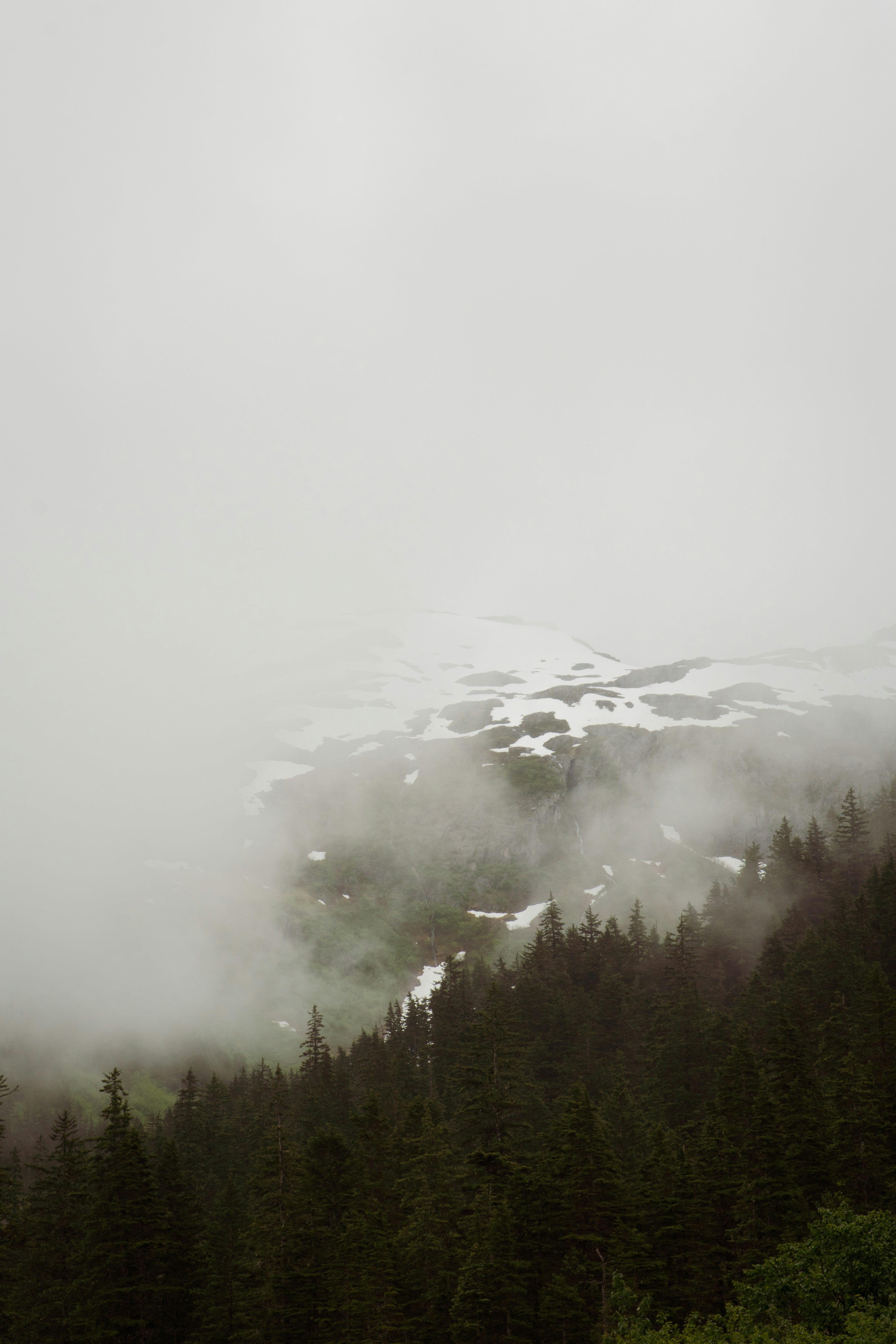 Photo by jaron_mobley