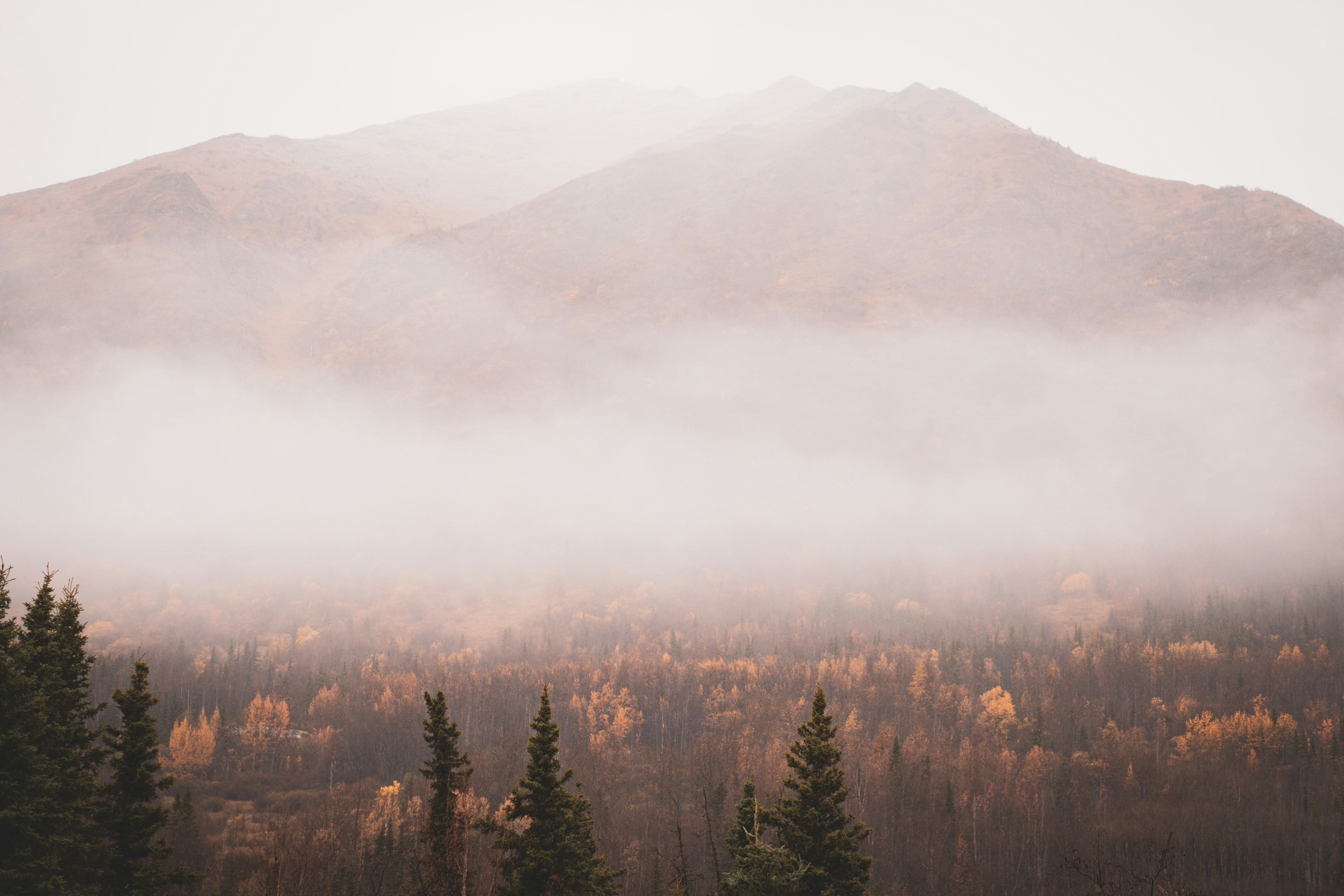 Photo by jaron_mobley