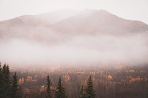 Morning Mist