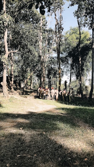 A group of diverse soldiers training together in a lush outdoor environment.