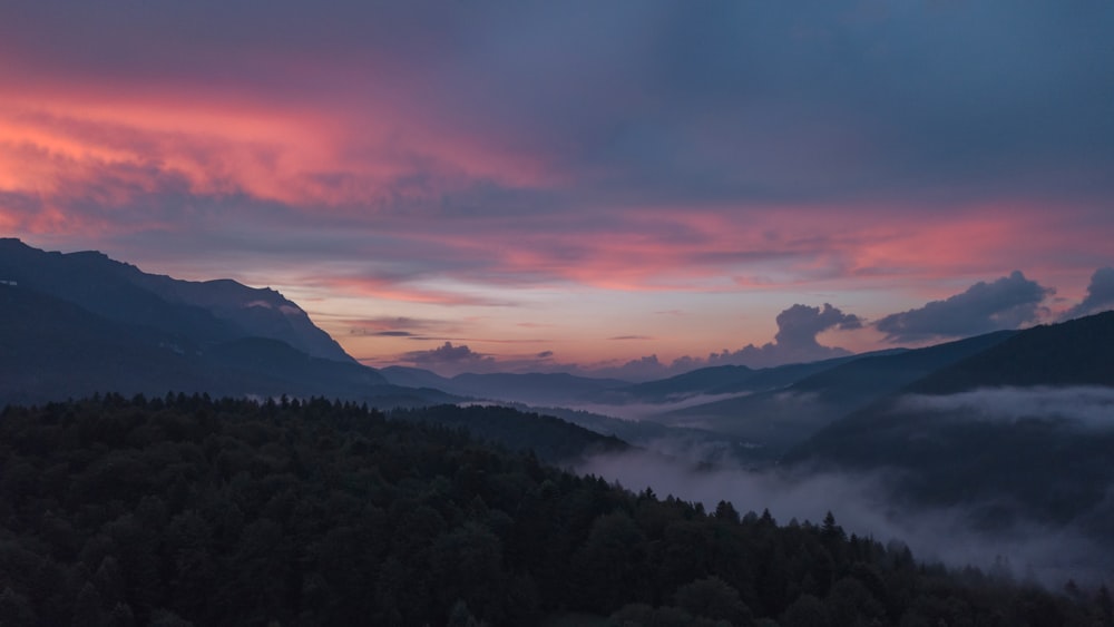 silhueta das árvores durante o pôr do sol