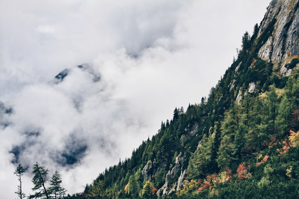 mountain covered with white clouds