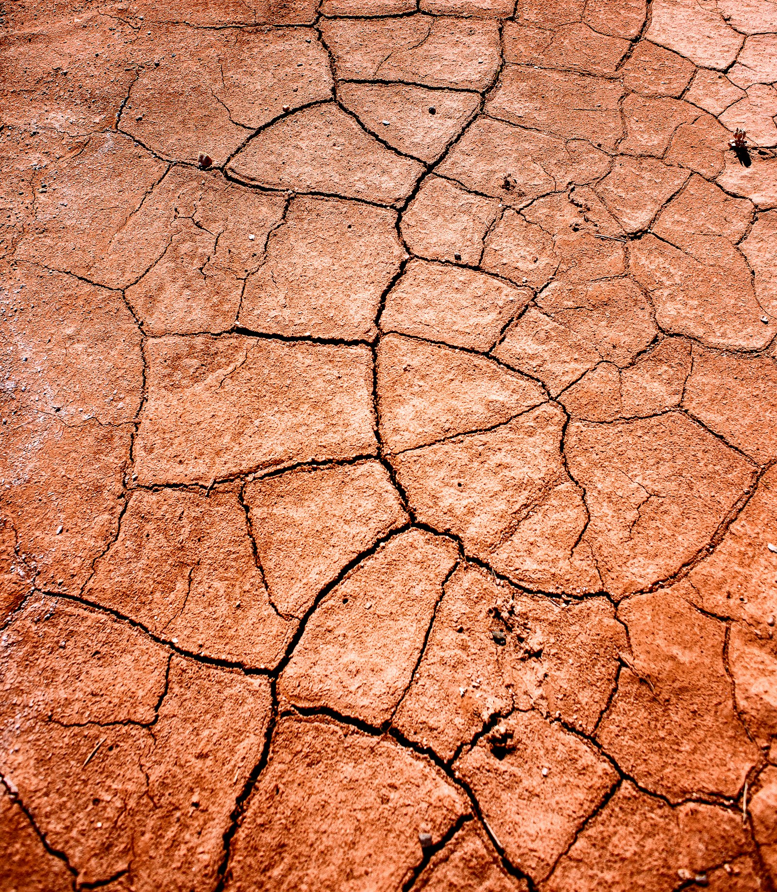 Nikon AF Nikkor 28mm F2.8D sample photo. Dried land photography