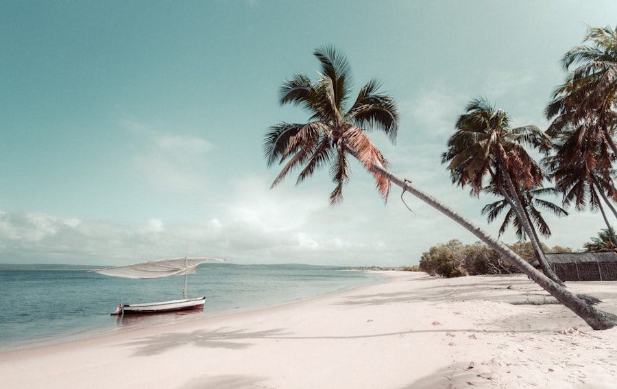 Parque Nacional de Maputo, Estadia