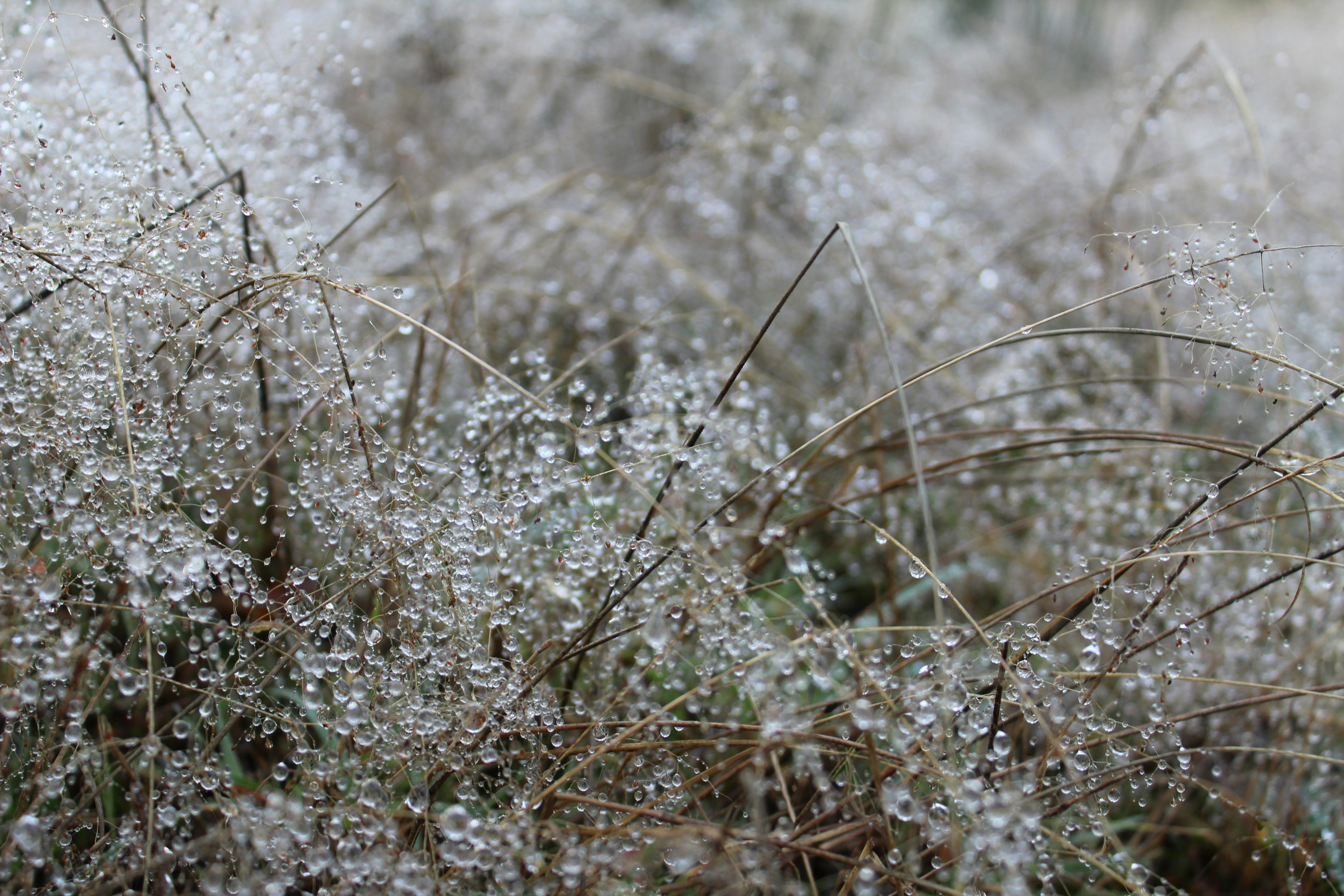 Photo by mariazevedo_23