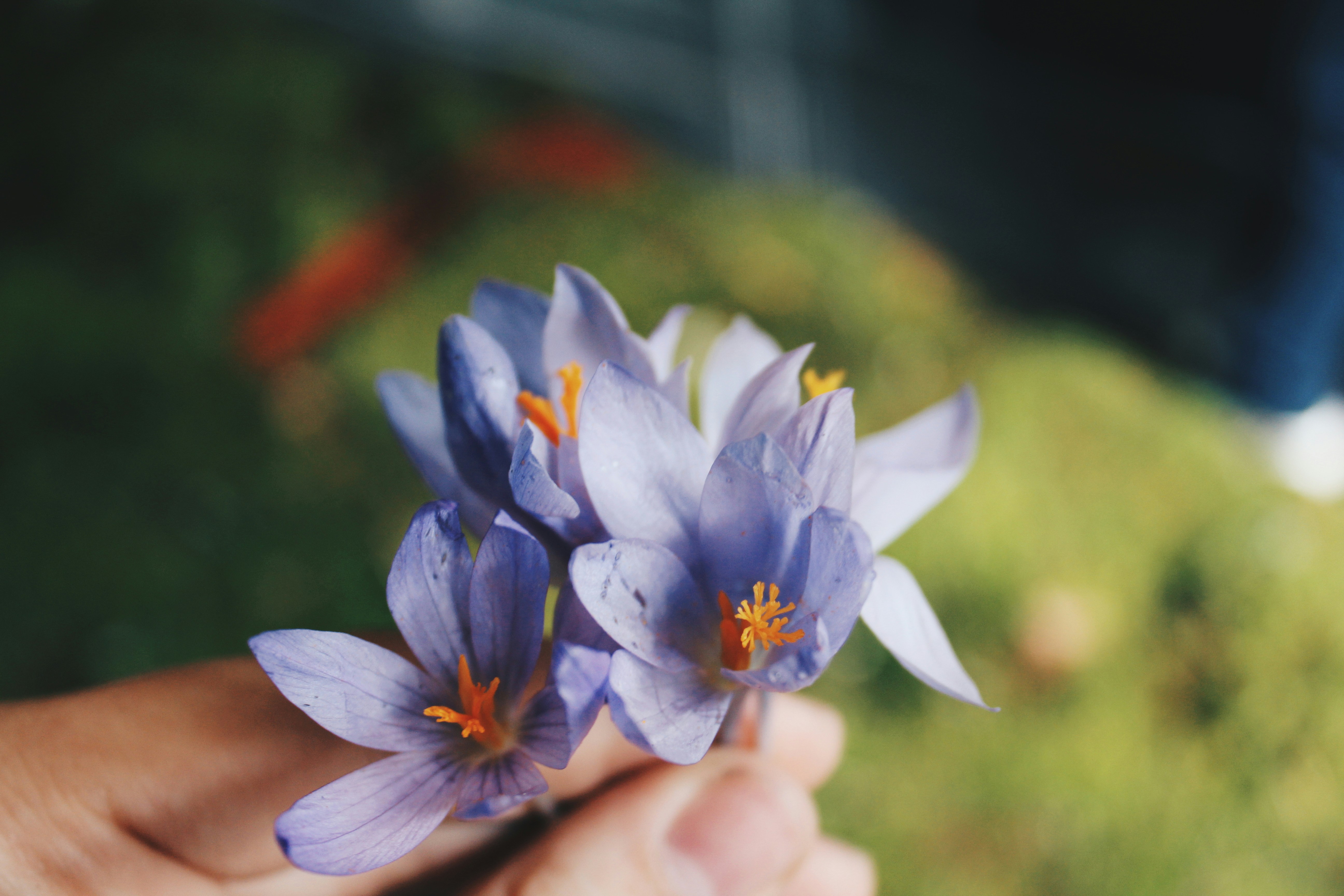 Photo by mariazevedo_23