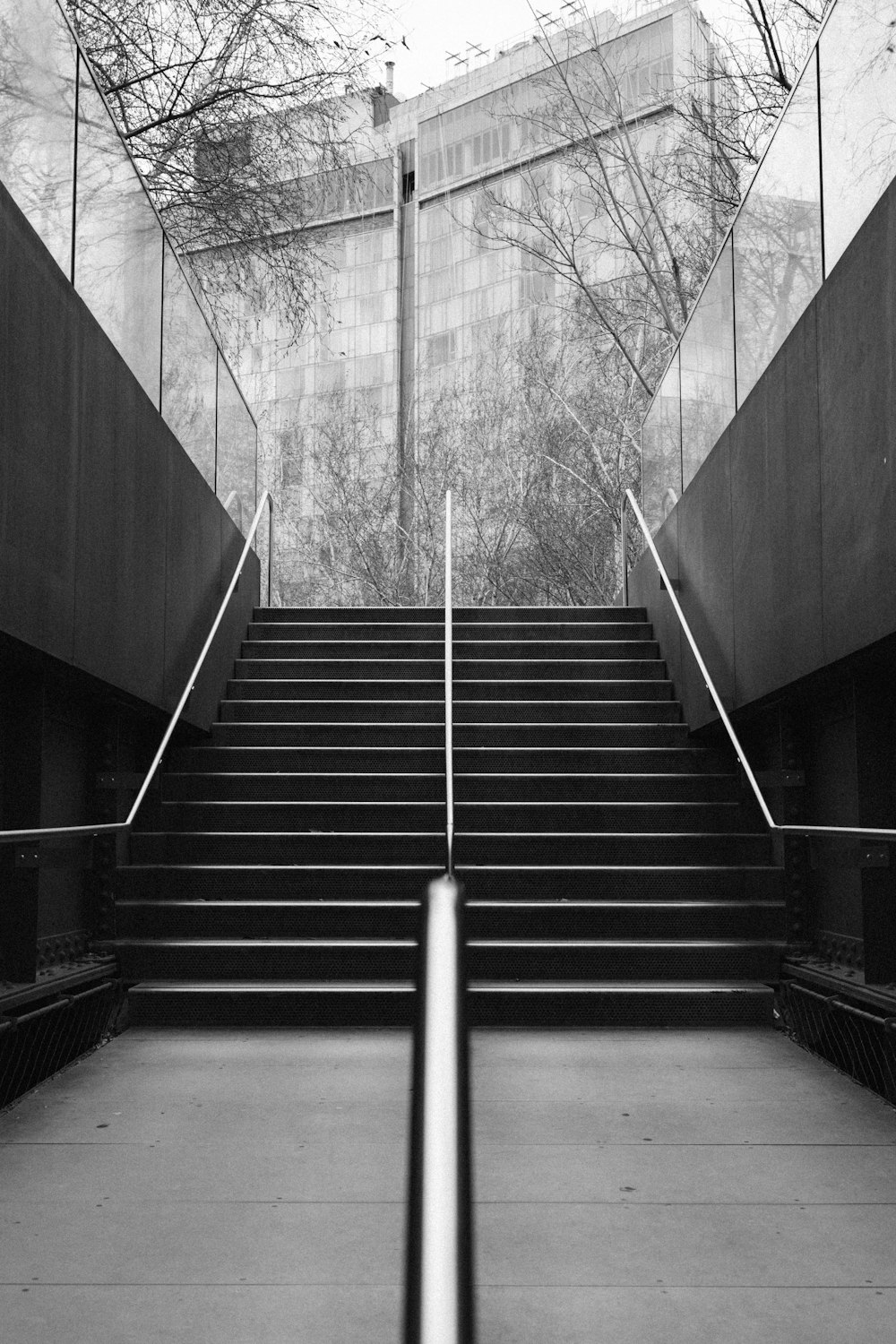 Fotografía en escala de grises de los pasos