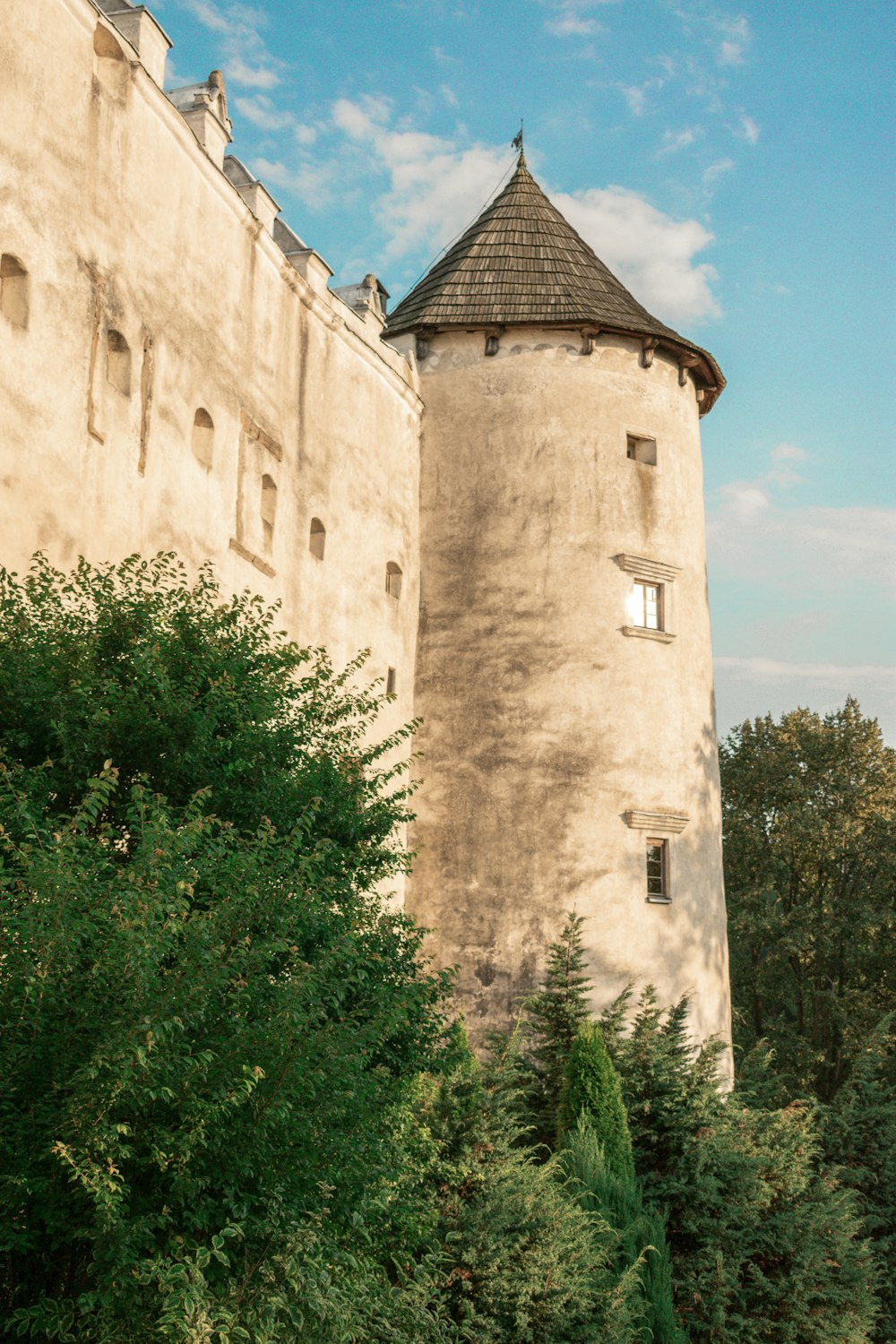 green bush beside beige castle wall