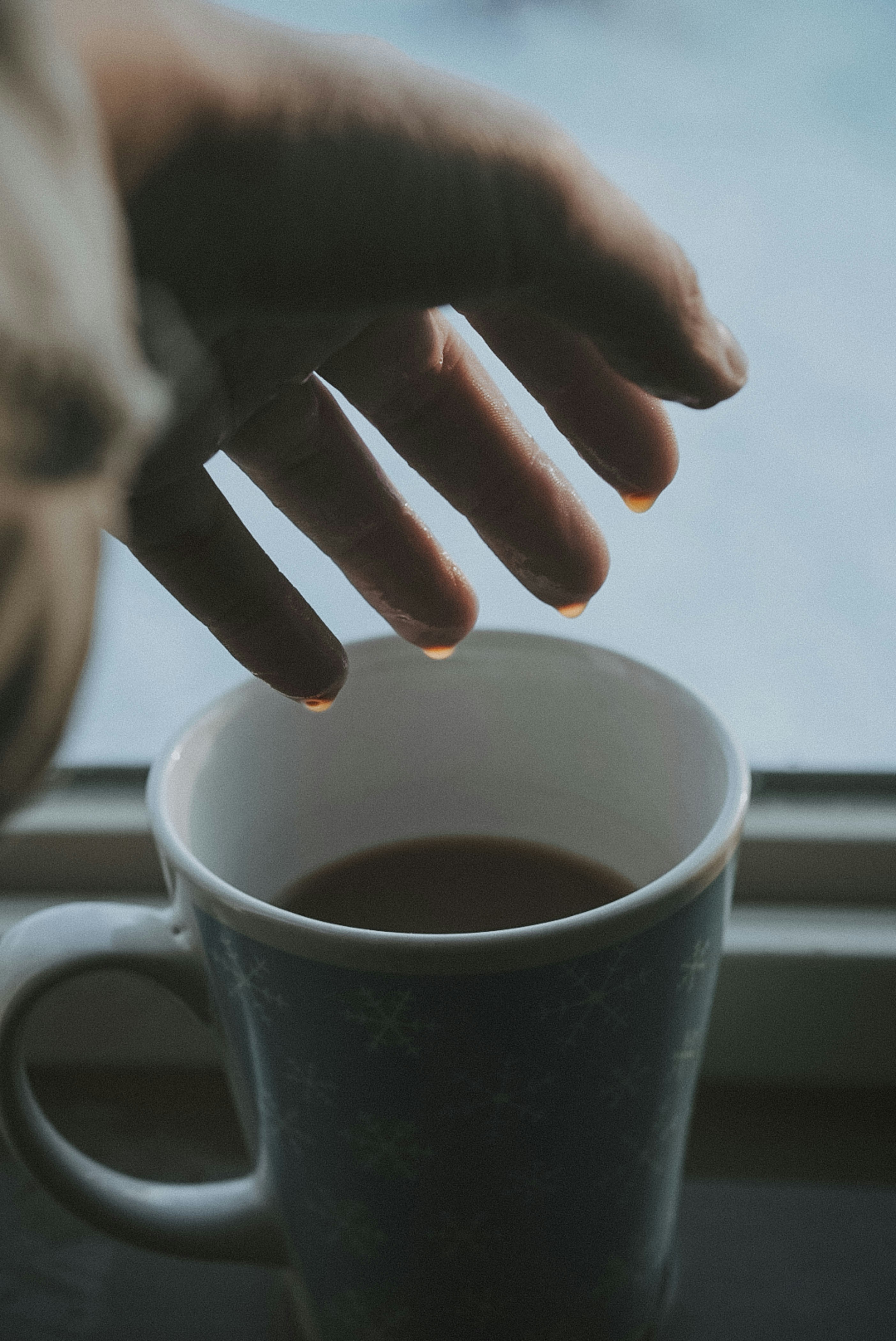 Photo by hanreinphoto