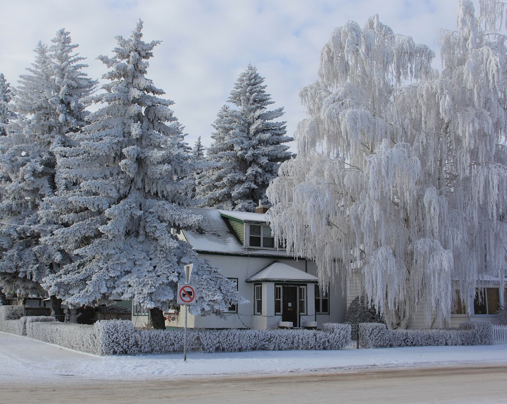 white and gray house covered with snow during daytime