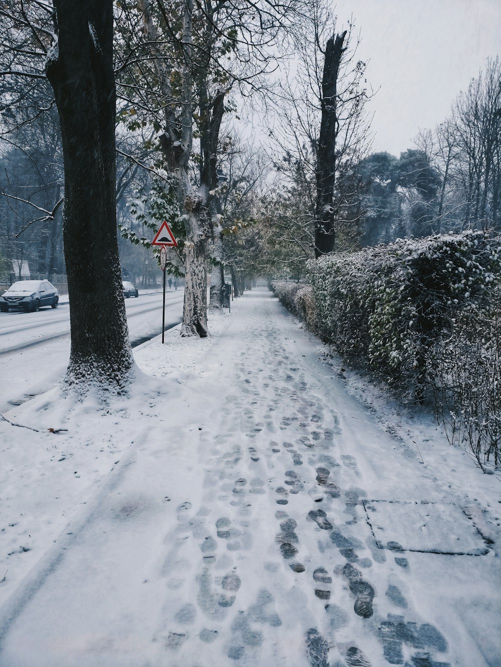 snow filled pathway