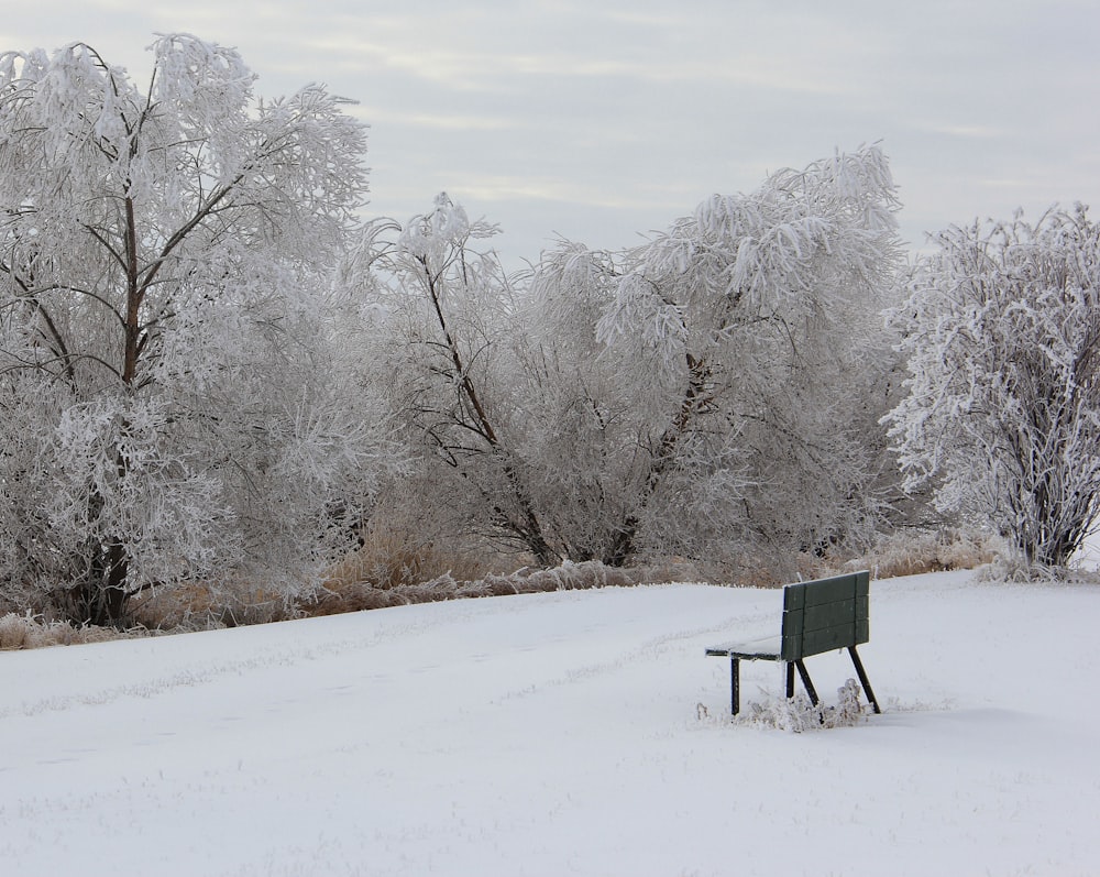 bench surrounded by snow