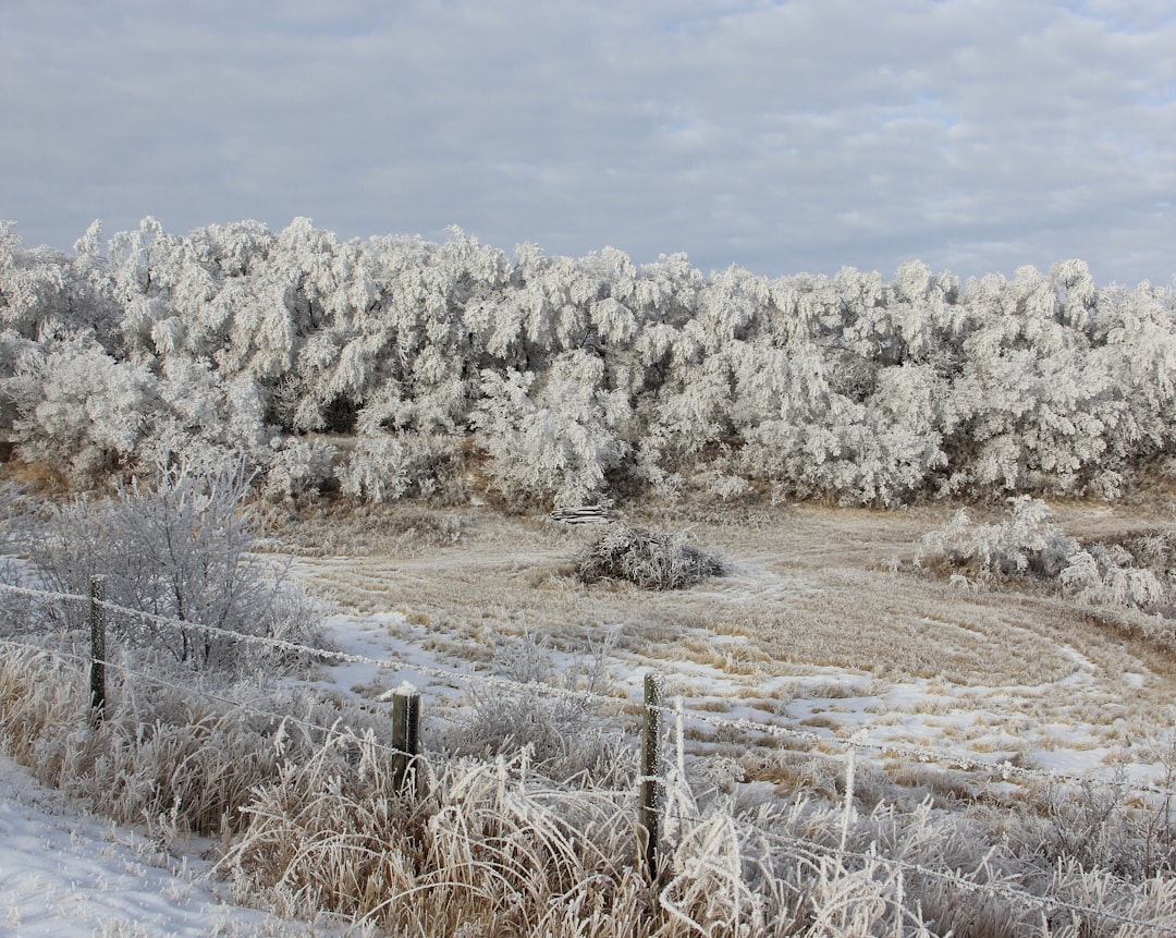 travelers stories about Ecoregion in Indian Head, Canada