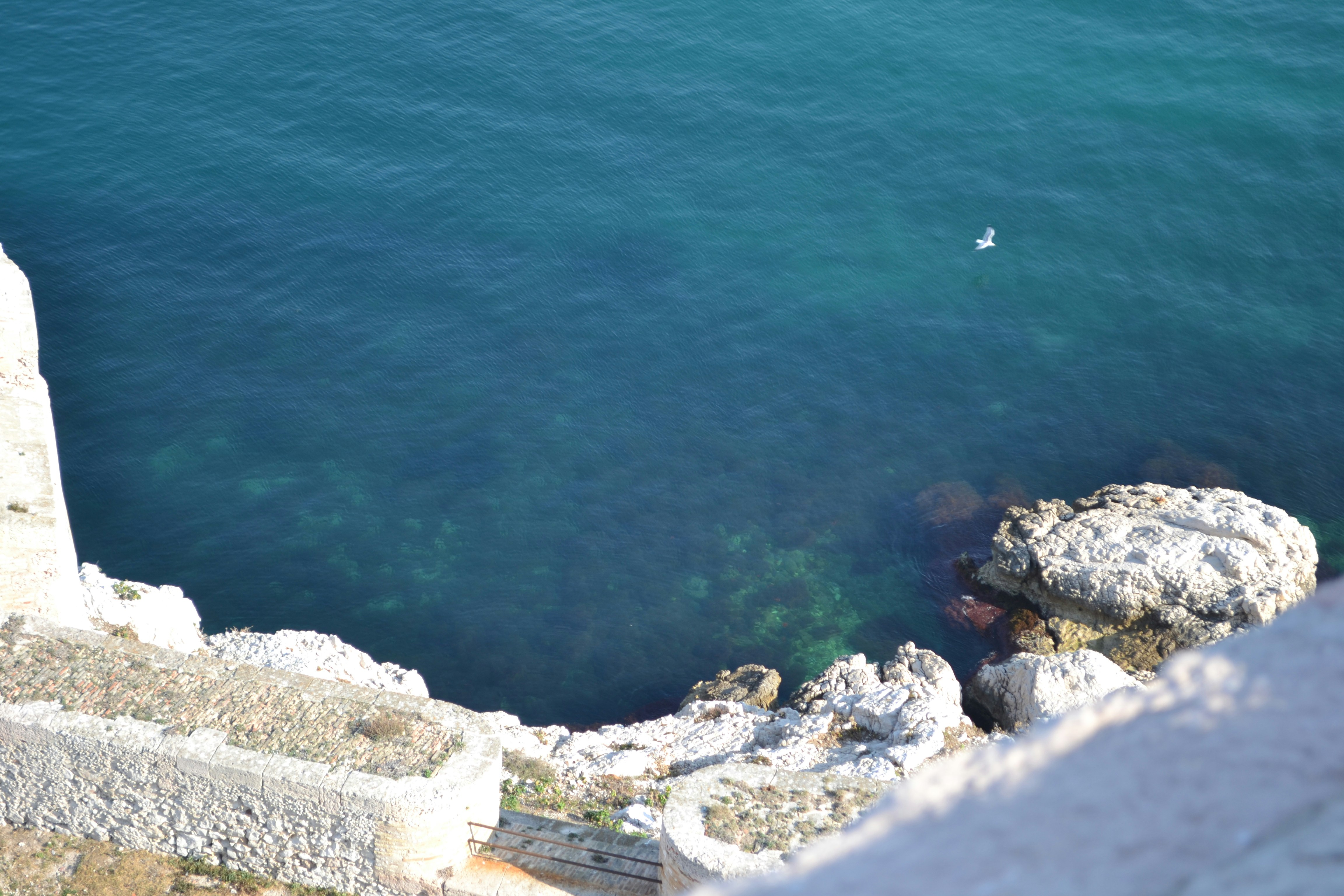 水域の近くの岩