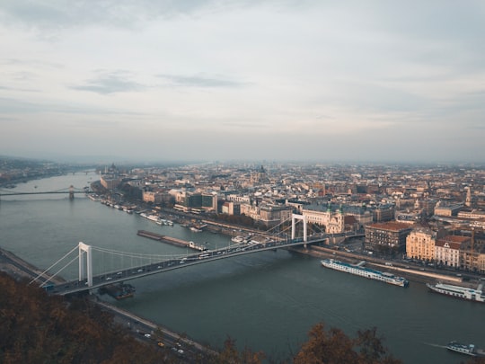 None in Erzsébet Bridge Hungary