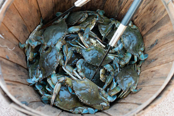A basket overflowing with freshly caught shellfish and crustaceans on a rustic wooden table.