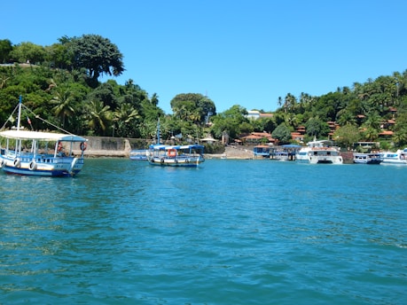 Several boats are floating on a calm sea near a lush, green coastline. The shoreline is dotted with trees and houses that blend with the vibrant greenery. The sky is clear and blue, adding to the serene atmosphere.