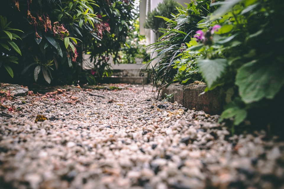 9 Garden Path Ideas