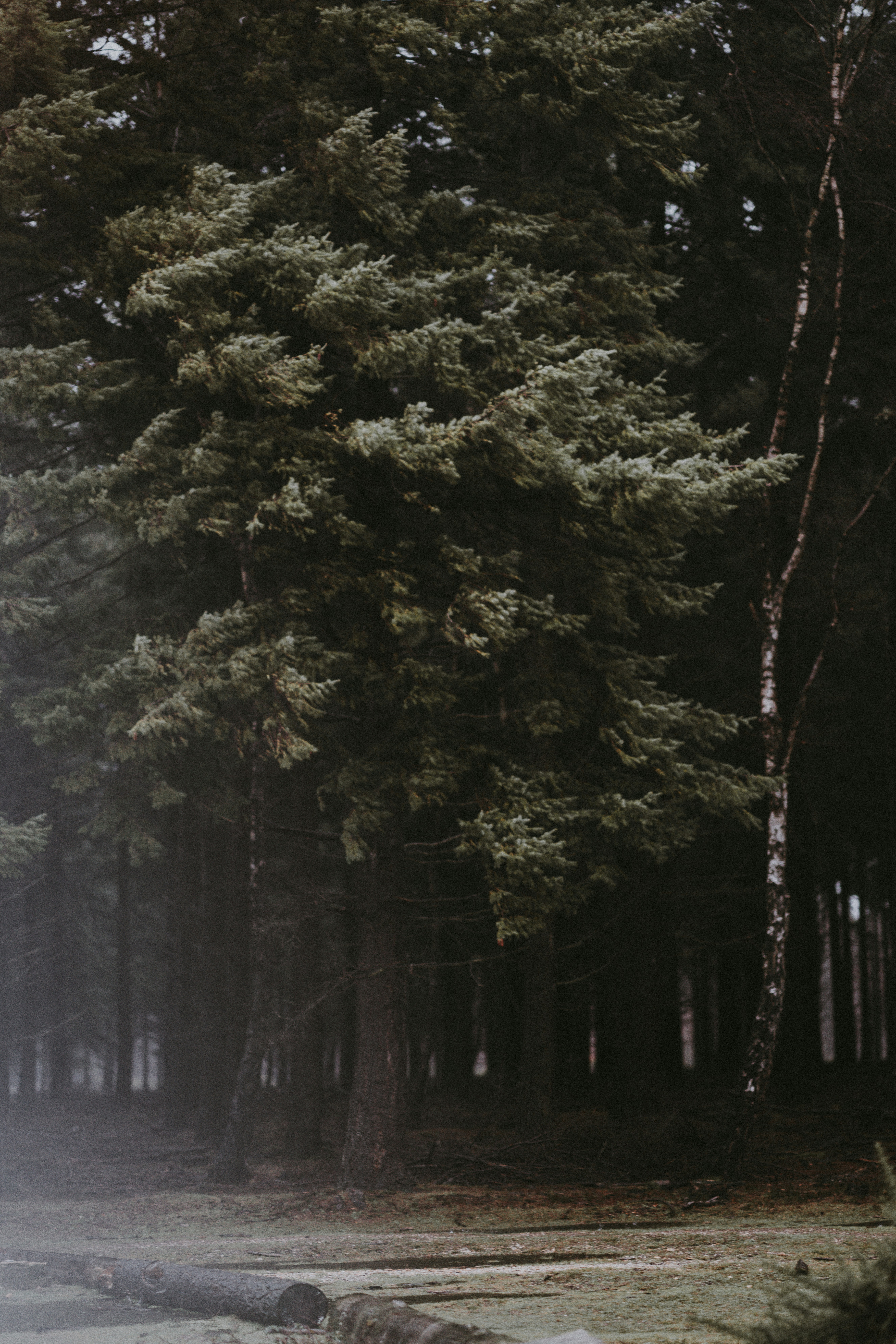 Photo by anniespratt