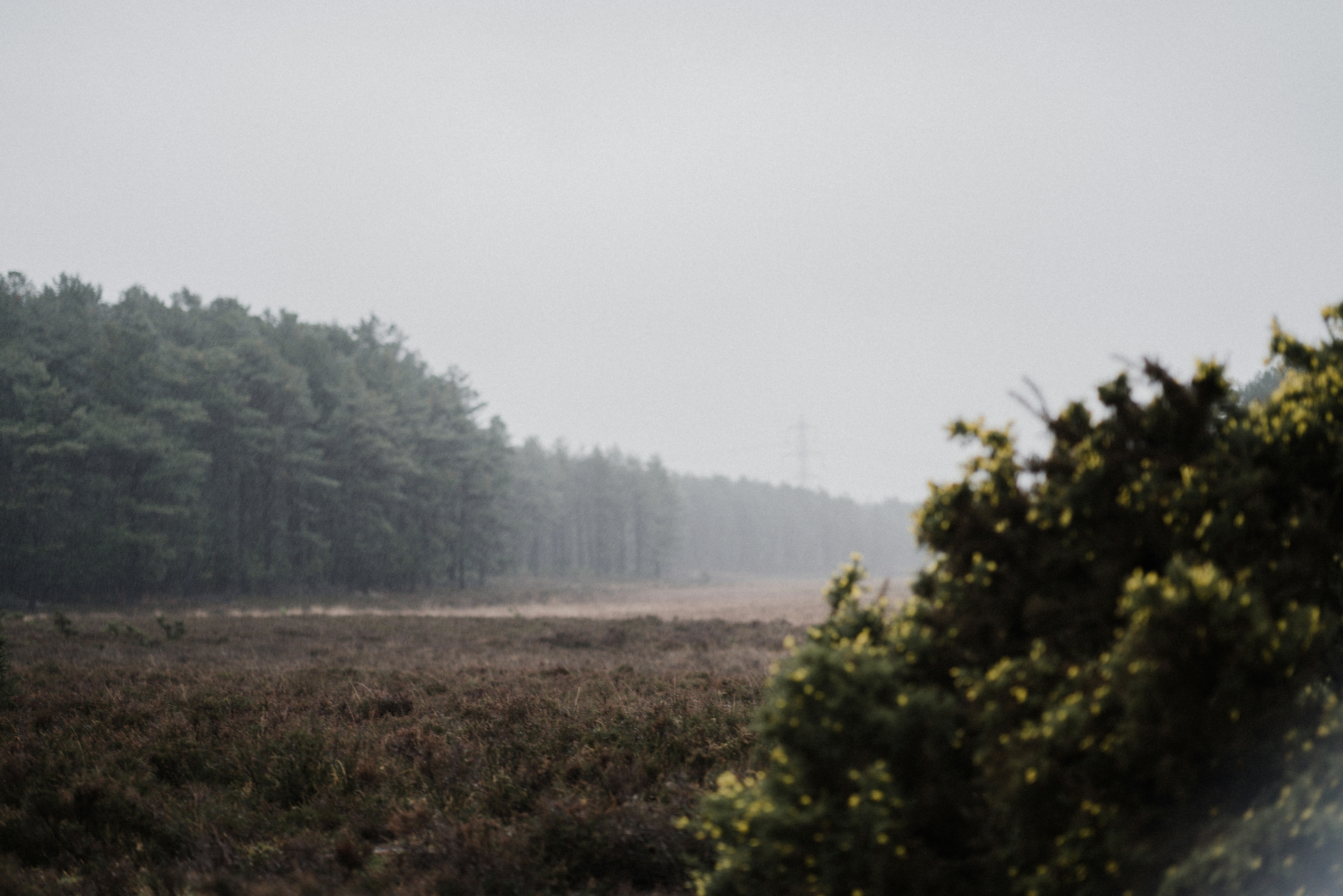 Photo by anniespratt