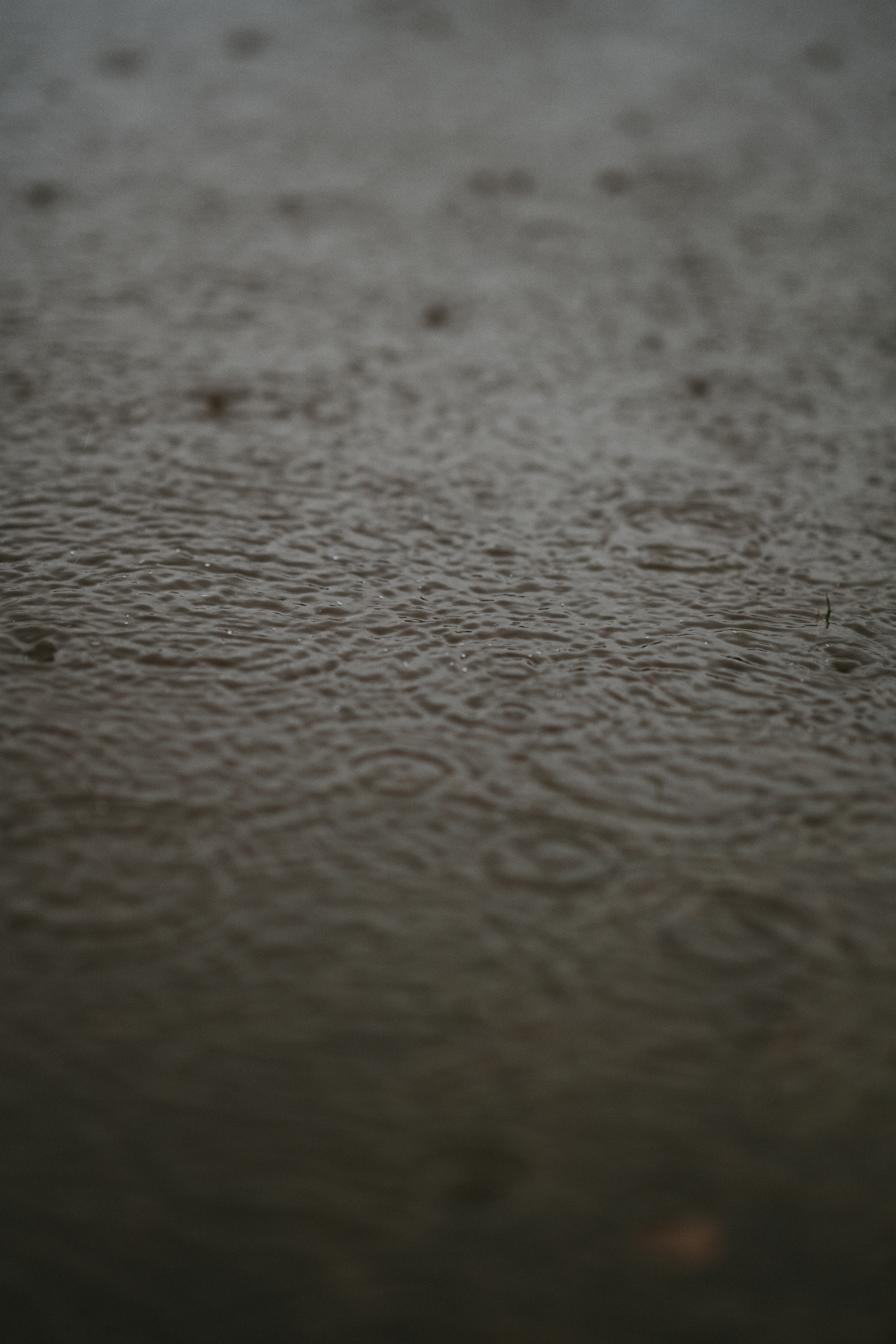 Photo by anniespratt