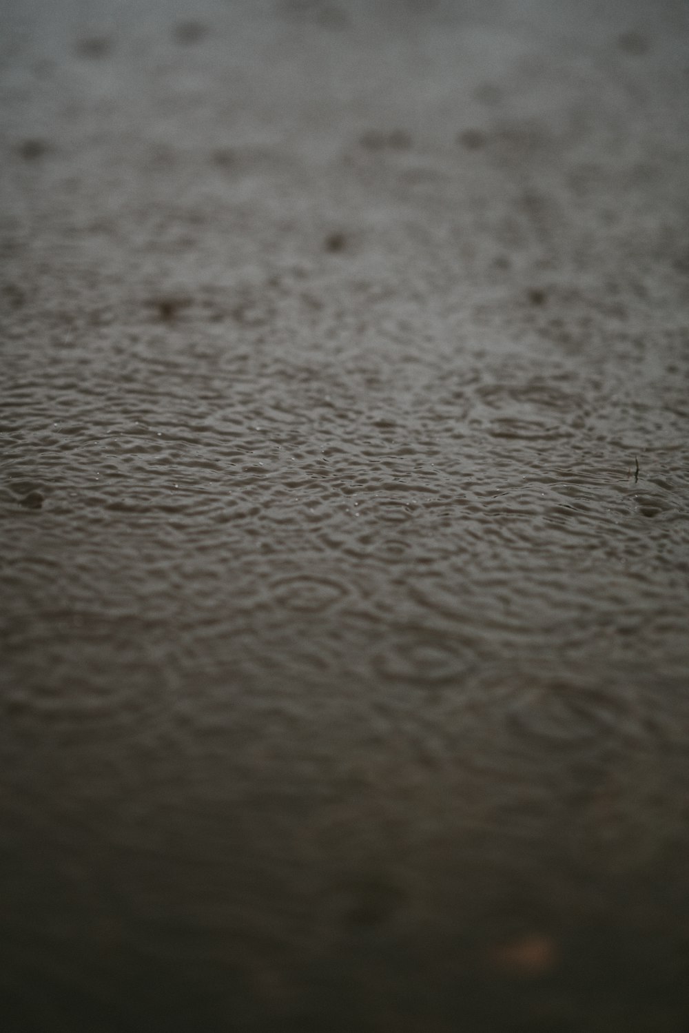 a black and white photo of a wet surface