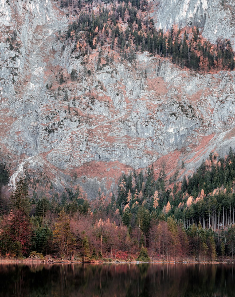 árvores ao lado da formação rochosa cinzenta em todo o corpo de água