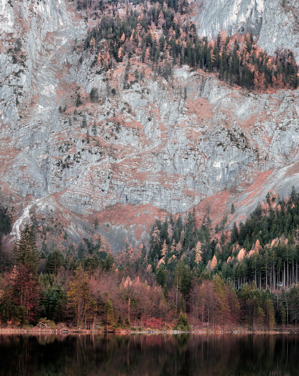 alberi accanto alla formazione rocciosa grigia attraverso lo specchio d'acqua