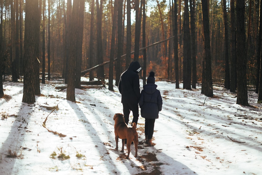people standing near dog in forest