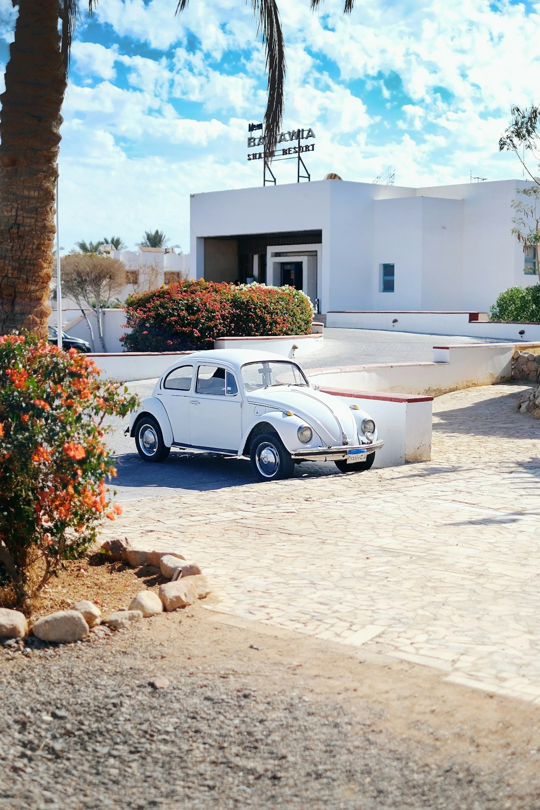 white Volkswagen Beetle parked near building