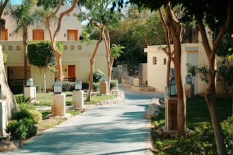 A serene pathway winds through a lush garden with trees providing shade. The path is flanked by decorative lamps on stone pedestals. Beige buildings with wooden doors and small windows are nestled among the greenery. The scene is bathed in sunlight, creating a tranquil and inviting atmosphere.