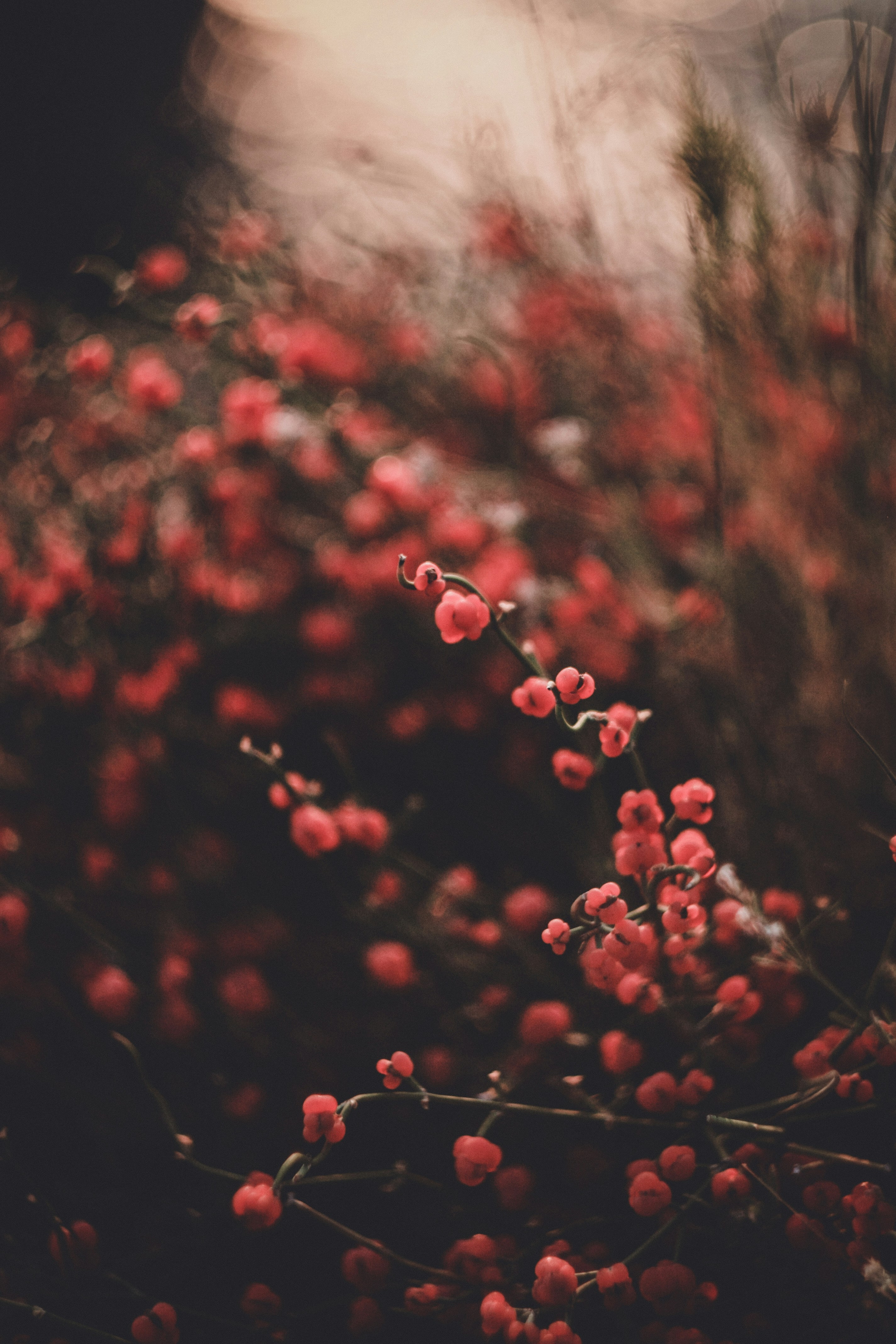 Photo by _ggleee