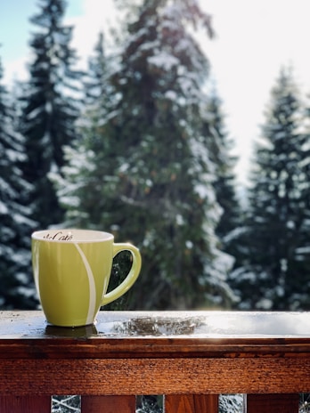 A green mug with a soft white stripe sits on a wooden railing, glistening in sunlight. Behind the mug, tall evergreen trees dusted with snow create a serene forest backdrop.