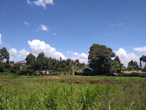 A peaceful countryside lot with lush greenery and a clear blue sky in Acacías Meta.