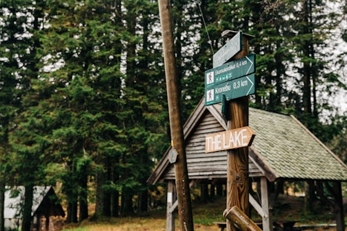 A cozy forest clearing with mushrooms growing around a rustic wooden signpost.