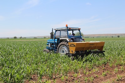 A blue tractor is operating in a vast green agricultural field under a clear blue sky. The field appears to be planted with young crops, and the surrounding area is expansive with sparse trees and distant hills on the horizon.