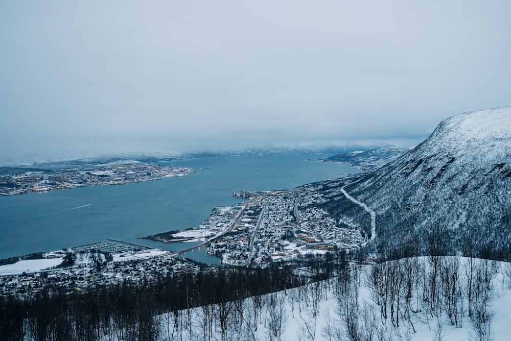 aerial photography of city near sea under cloudy sky during daytime