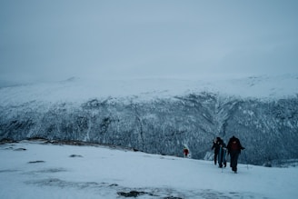 A snowy mountain landscape with several people hiking up the slope using trekking poles. The terrain is covered in snow, and the sky is overcast with a cold, wintry atmosphere. The mountain range stretches into the distance, providing a sense of vastness.