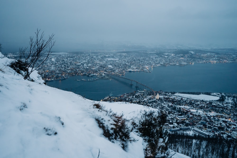 bird's-eye view photography of city